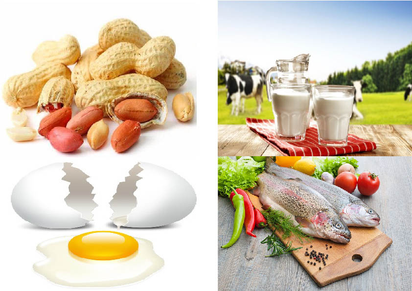 جیرهی غذایی مادر و ناراحتییا واکنش حساسیتشیرخوار